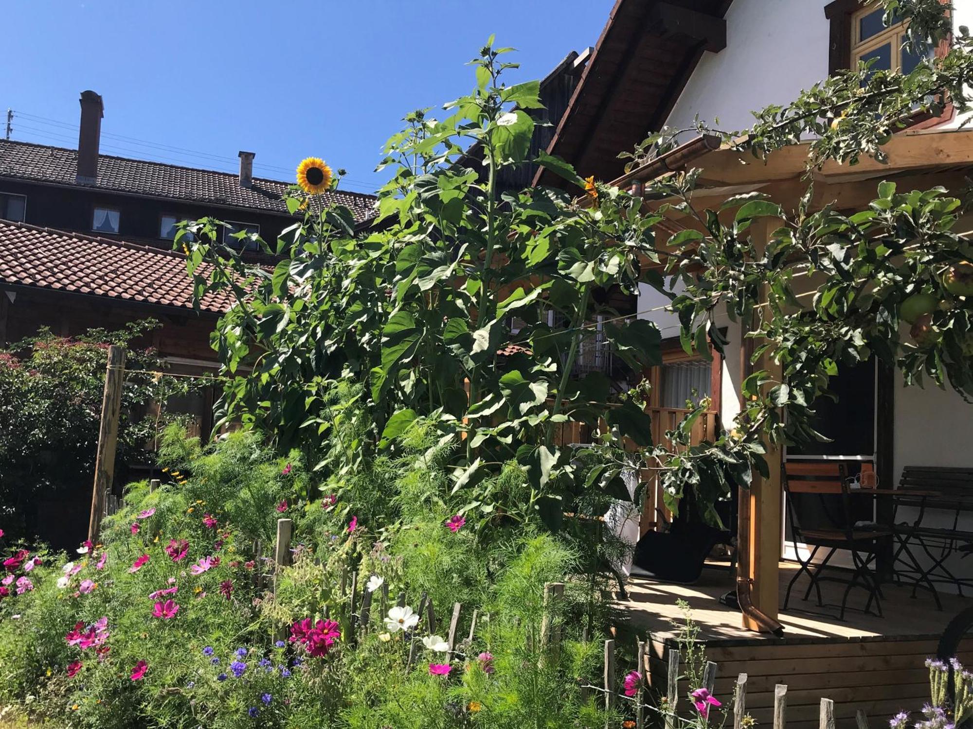 Pension Baarblick Hotel Donaueschingen Exterior foto