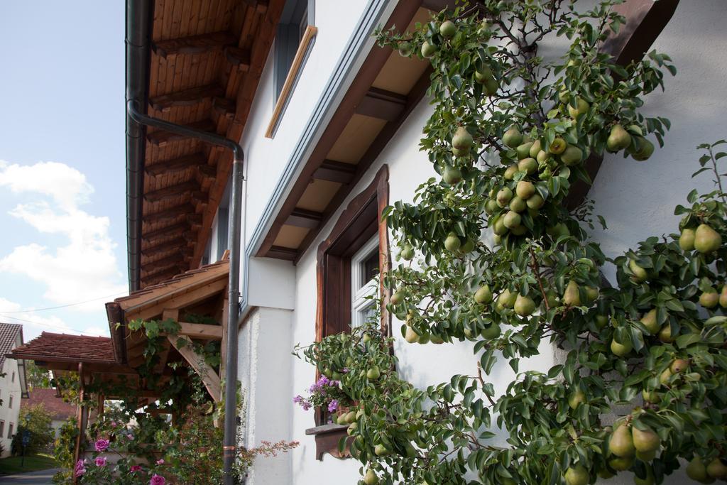 Pension Baarblick Hotel Donaueschingen Exterior foto